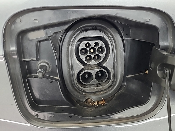 Foto 14 van Skoda Enyaq