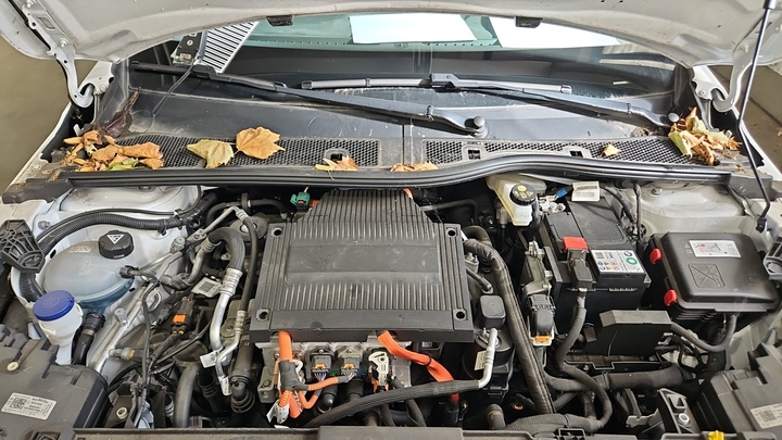 Foto 10 van Opel Corsa-e